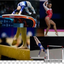 Une histoire de poutre, de sol, de barres et de saut de cheval Une histoire de poutre, de sol, de barres et de saut de cheval