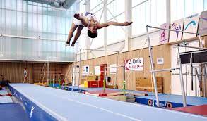 To tumble = culbuter To tumble = culbuter