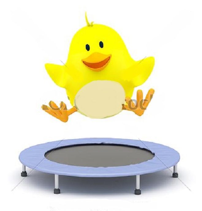 Gym des p'tit poussins
