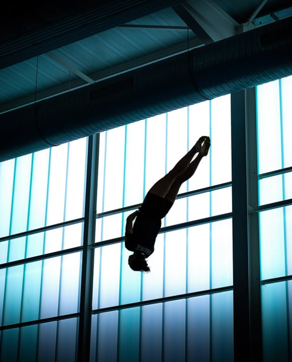 discipline trampoline