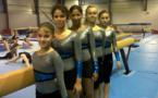 Championnat de France divisions nationales tumbling