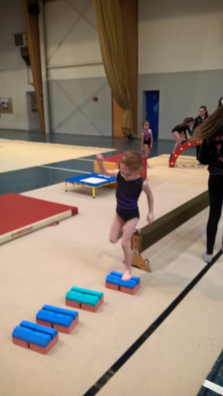WP_20151209_13_56_59_Pro
